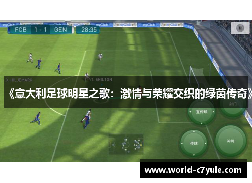 《意大利足球明星之歌：激情与荣耀交织的绿茵传奇》