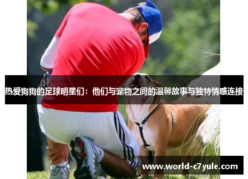 热爱狗狗的足球明星们：他们与宠物之间的温馨故事与独特情感连接