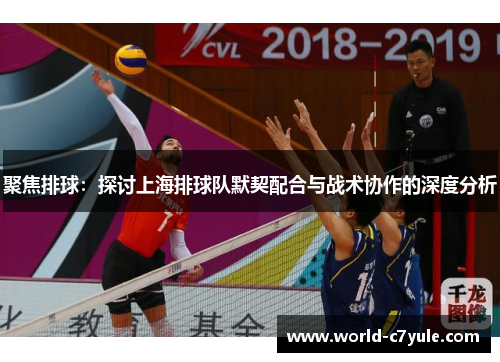 聚焦排球：探讨上海排球队默契配合与战术协作的深度分析