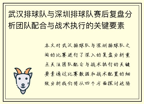 武汉排球队与深圳排球队赛后复盘分析团队配合与战术执行的关键要素
