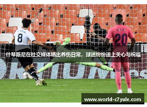 什琴斯尼在社交媒体晒出养伤日常，球迷纷纷送上关心与祝福