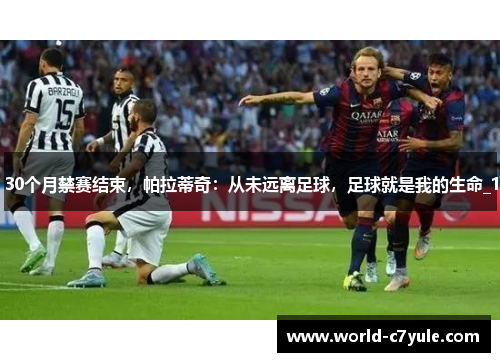 30个月禁赛结束，帕拉蒂奇：从未远离足球，足球就是我的生命_1
