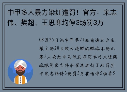 中甲多人暴力染红遭罚！官方：宋志伟、樊超、王思寒均停3场罚3万